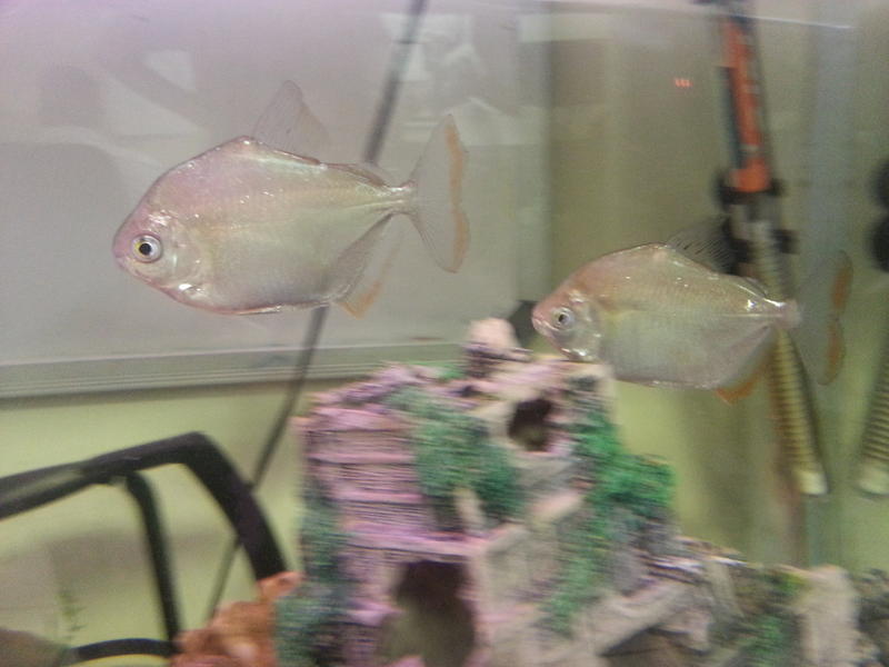 20121003_100334.jpg