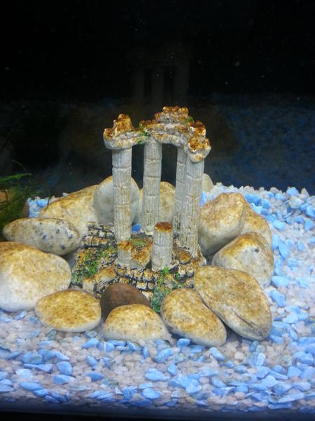 20121024_222029.jpg