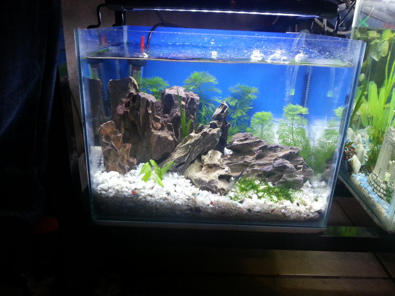 20121124_195437.jpg