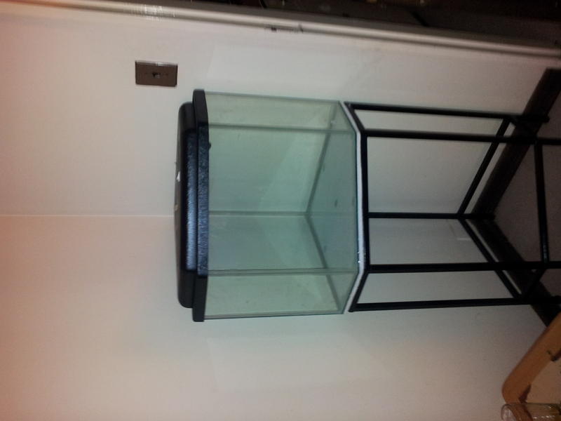 20121204_173003.jpg