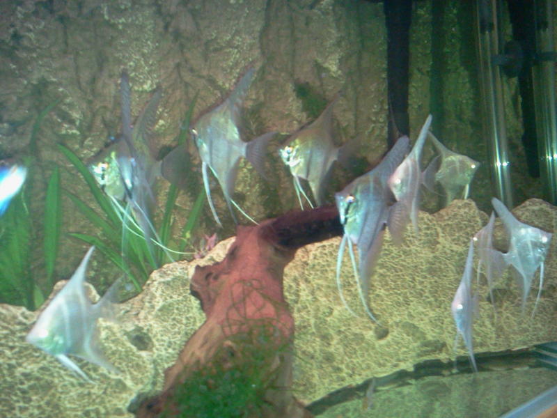 2013-02-04 18.34.30.jpg