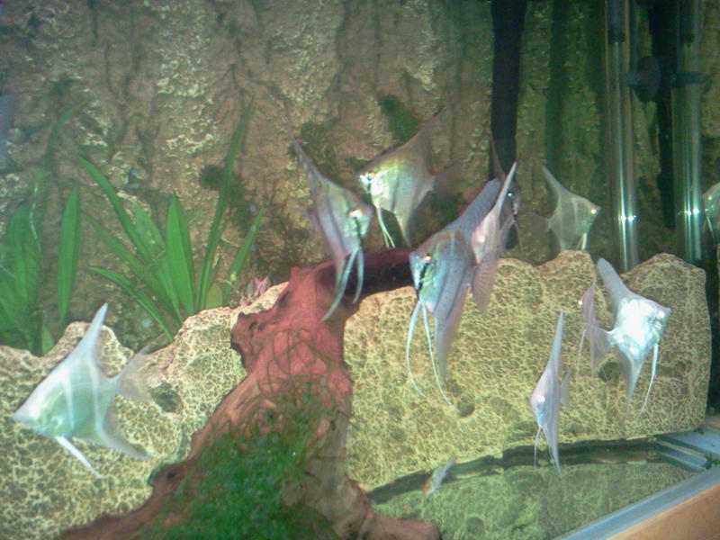 2013-02-04 18.34.36.jpg