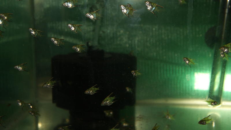 2013-04-10 05.32.49.jpg