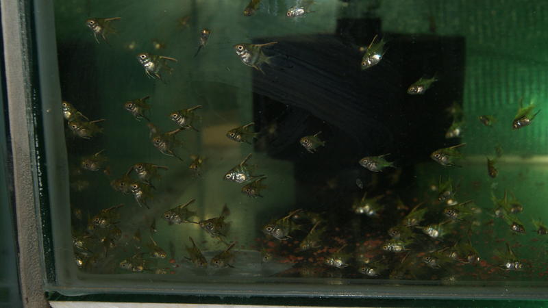 2013-04-10 05.33.37.jpg