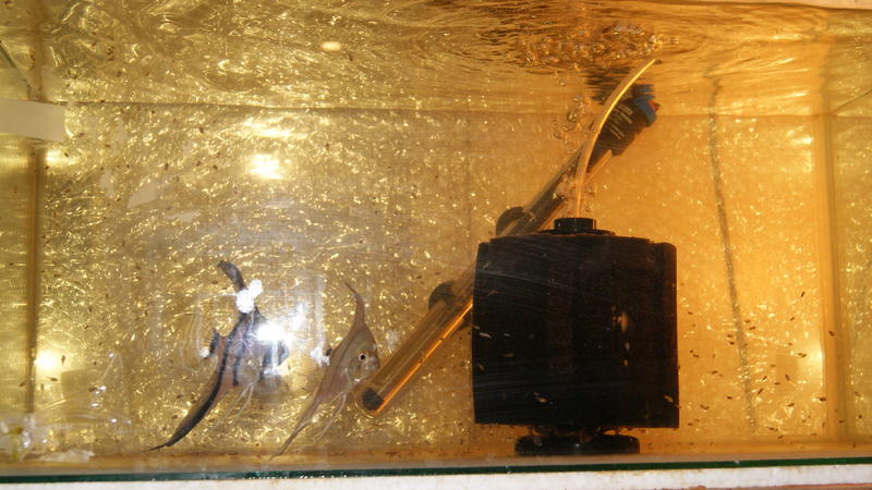 2013-04-10 05.35.13.jpg