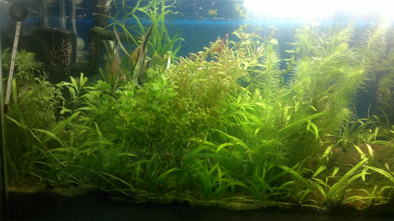 2013-07-18-1491.jpg
