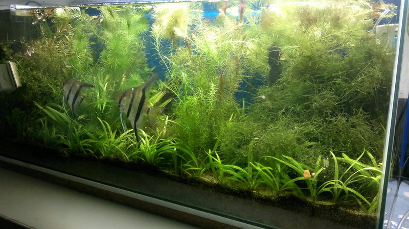 2013-07-28-1543.jpg