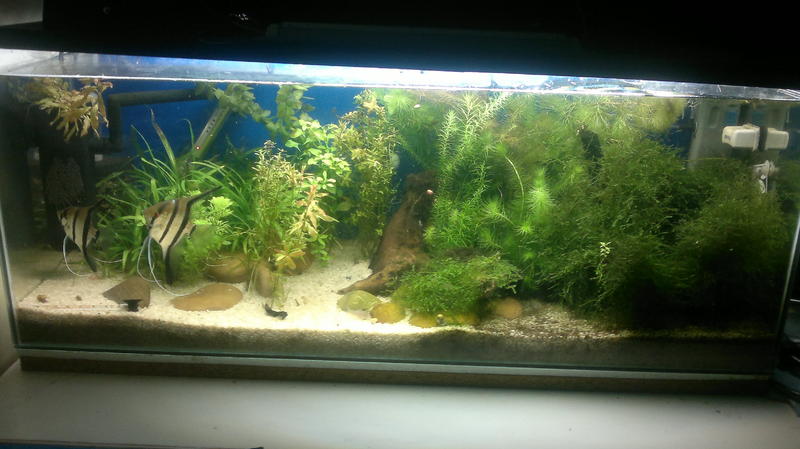 2013-08-23-1579.jpg