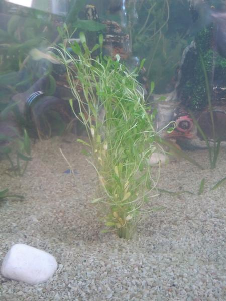 2013-09-04 15.27.56.jpg