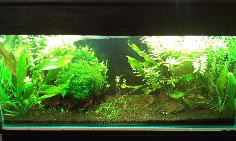 2013-10-10 17.54.09.jpg
