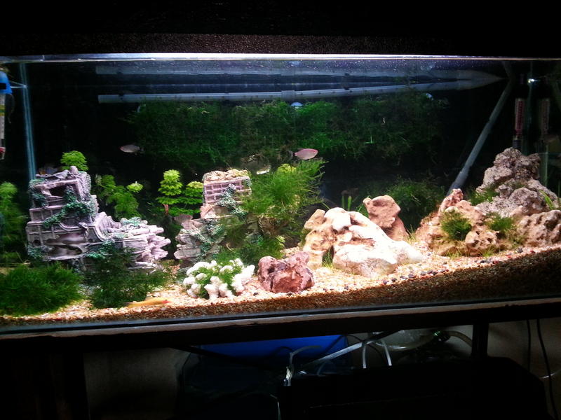 20130122_223753.jpg