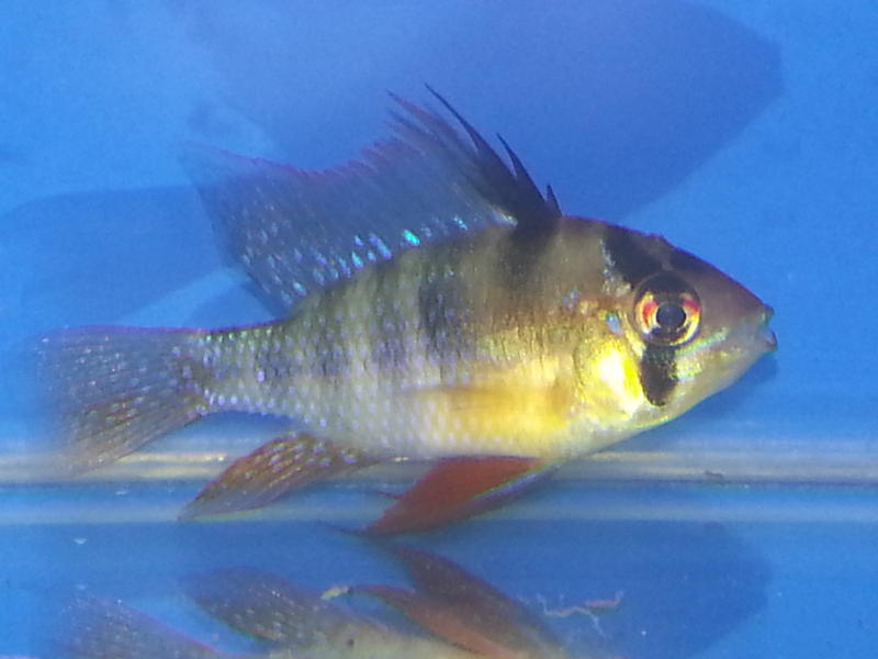 20130130_092207.jpg