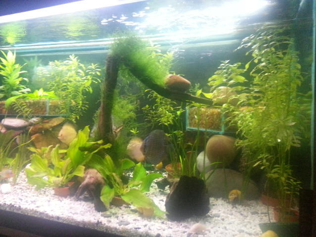20130210_224632.jpg