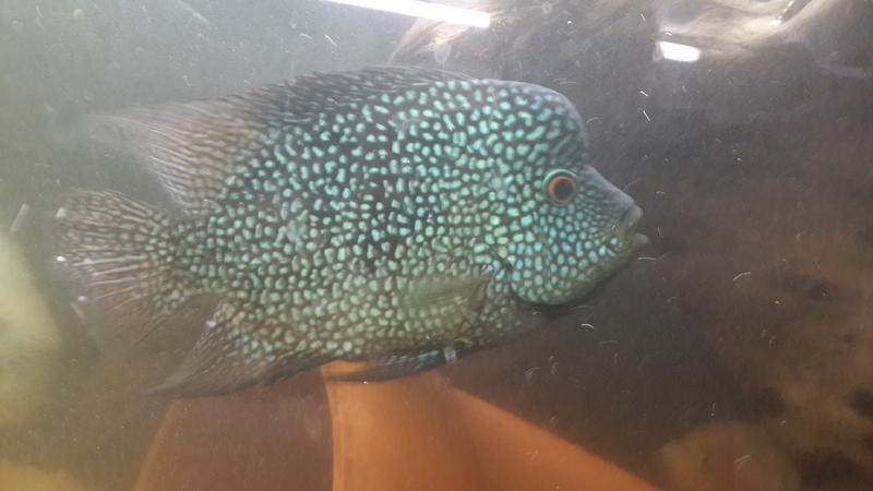20130803_180508.jpg