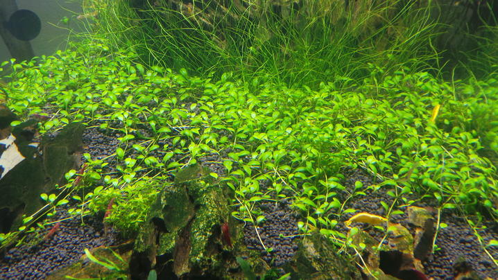 20130812_173658-1.jpg