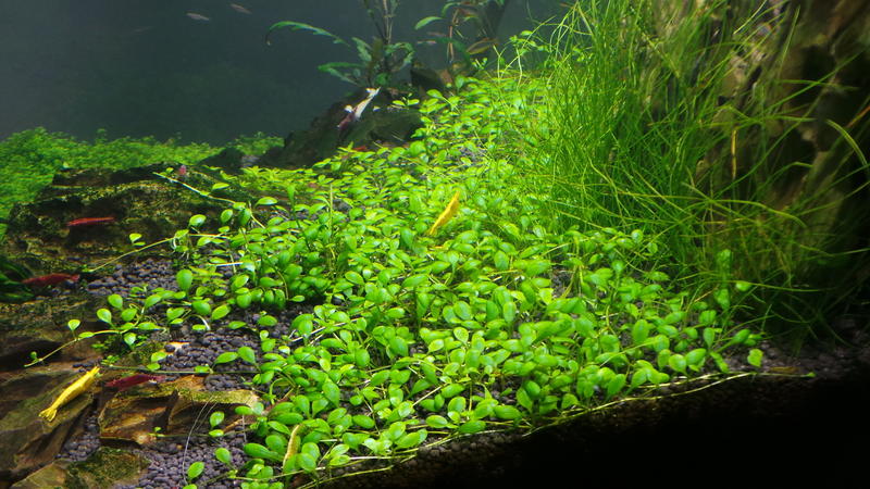 20130812_173842.jpg