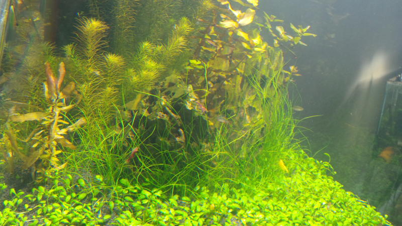 20130812_173916.jpg