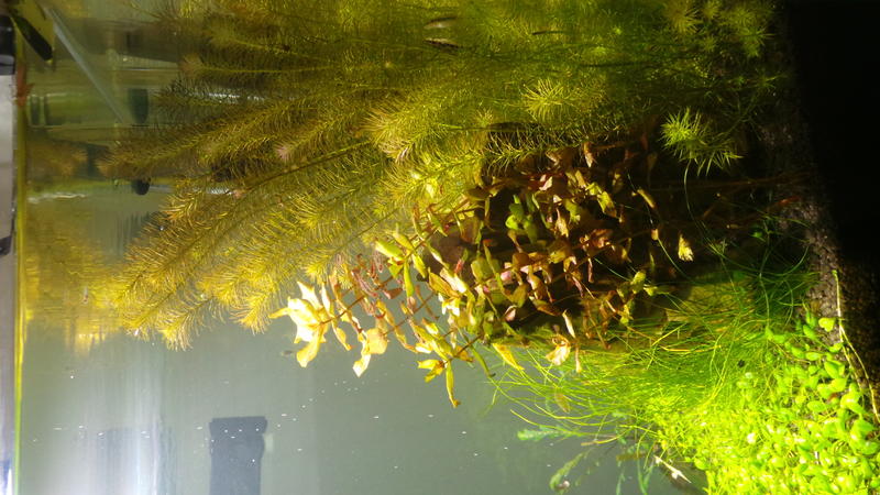 20130812_173945.jpg