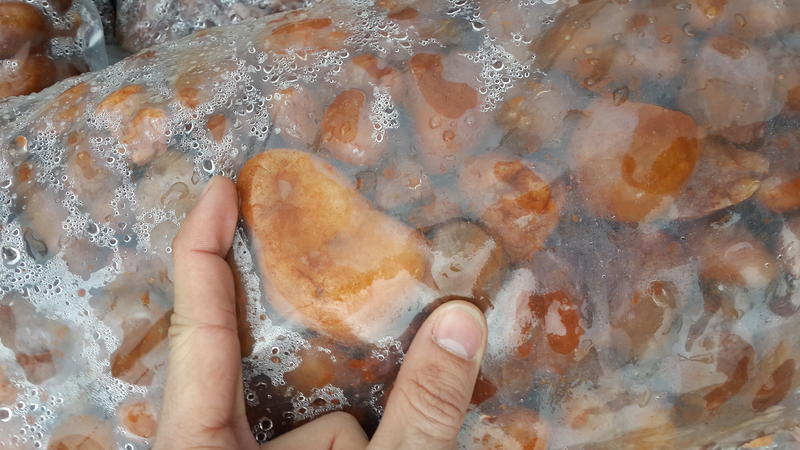 20130816_091542.jpg