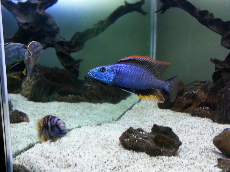 20130819_171135.jpg