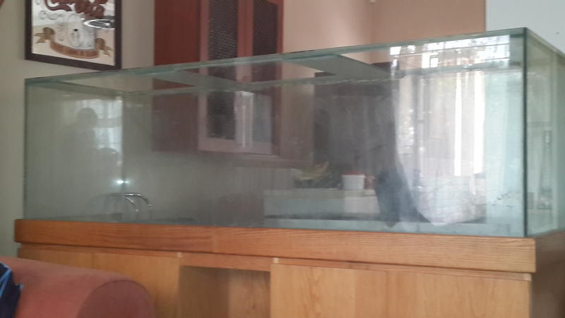 20130921_130219.jpg
