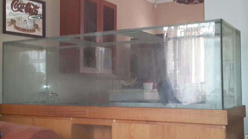 20130921_130223.jpg