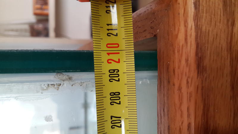 20130923_161811.jpg