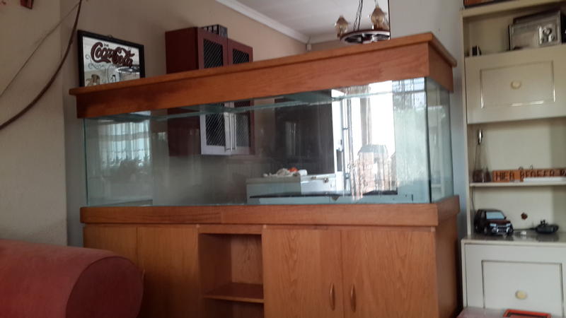 20130923_162950.jpg