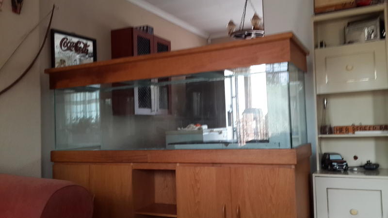 20130923_162952.jpg