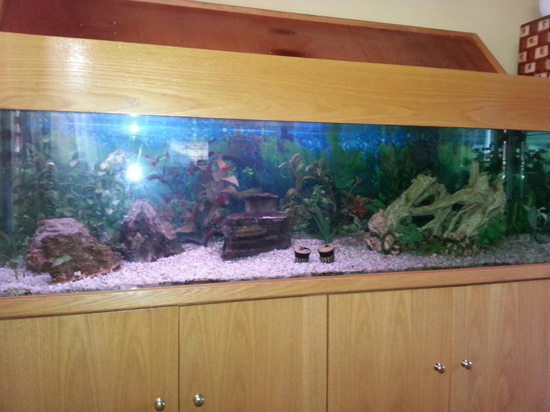 20131013_170230.jpg