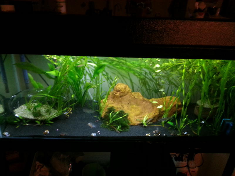 20131023_190001.jpg