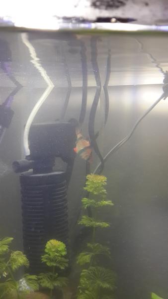 20131029_200714.jpg