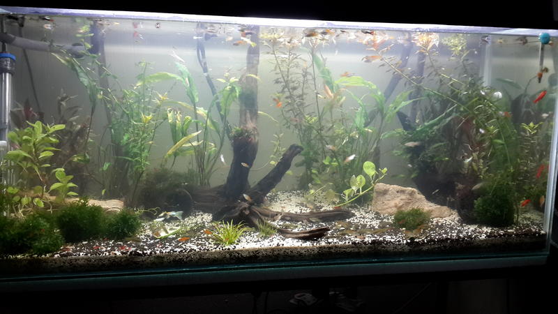 20131031_183930.jpg
