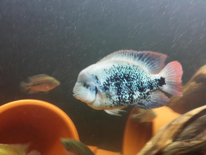 20131111_093438.jpg