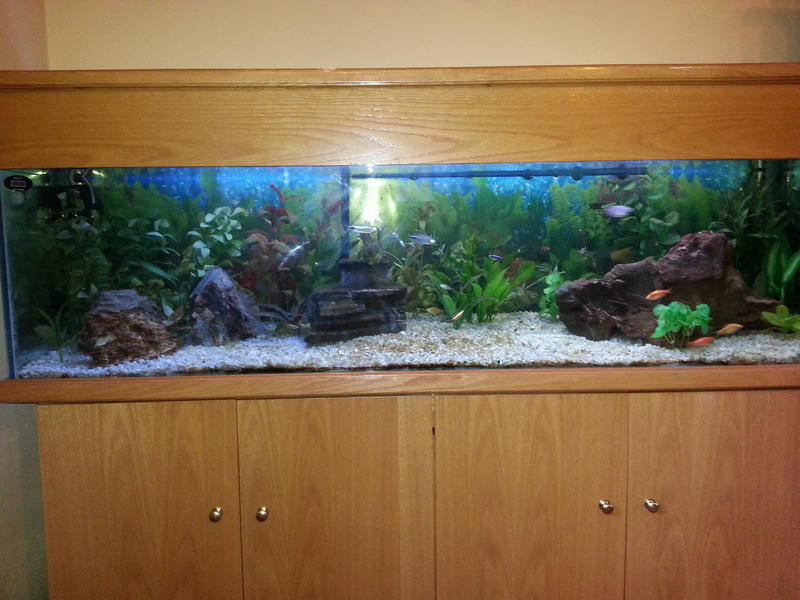 20131117_181903.jpg