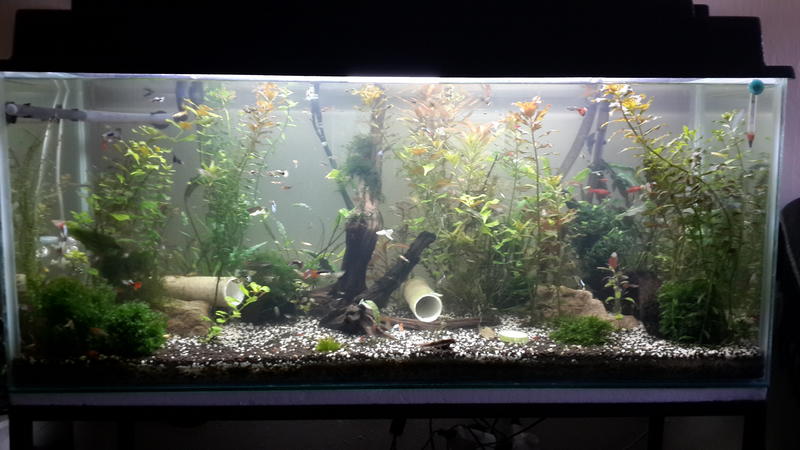 20131128_182259.jpg