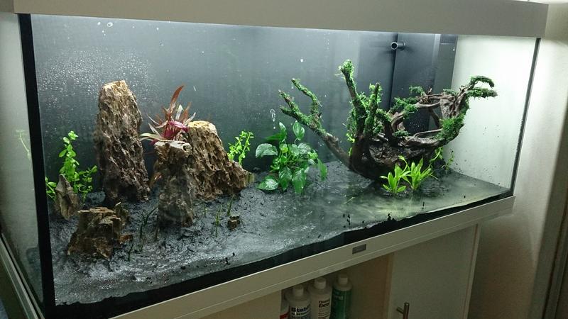 2014-03-10 20.59.48.jpg