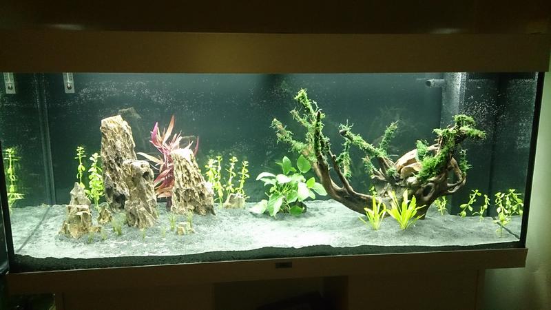 2014-03-11 05.15.21.jpg