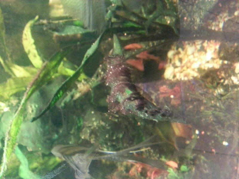 20140116_092457.jpg
