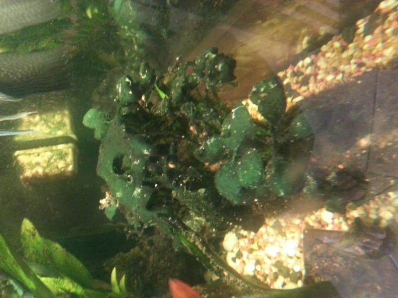 20140116_092505.jpg