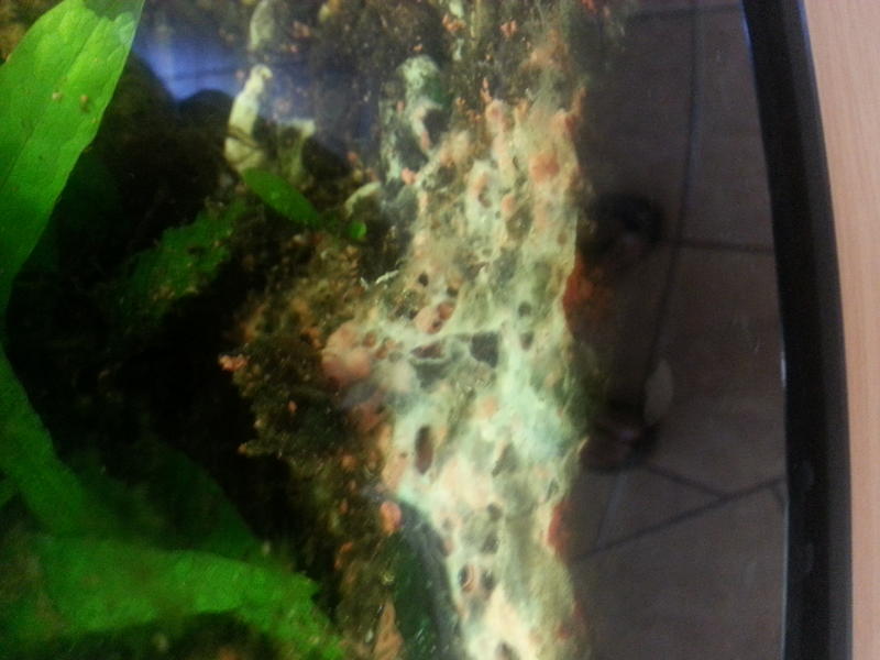 20140116_092527.jpg