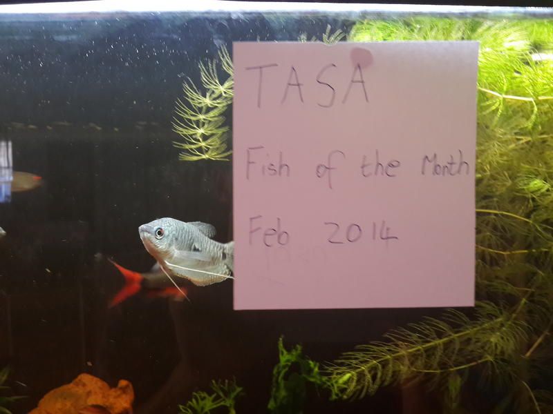 20140117_170955.jpg