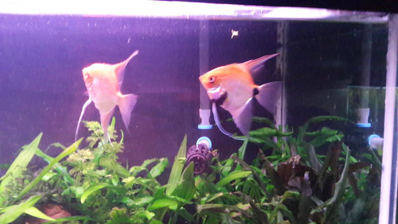 20140126_211832.jpg