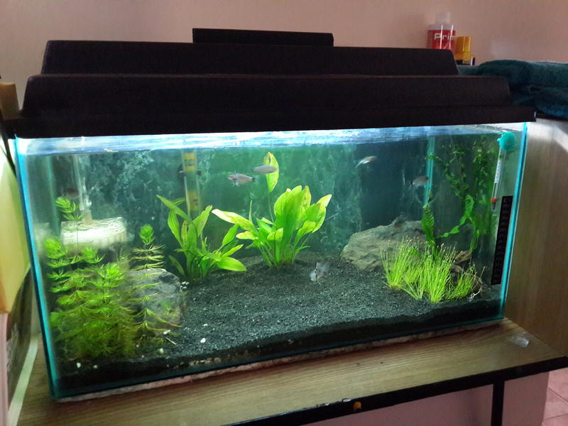 20140127_163444.jpg