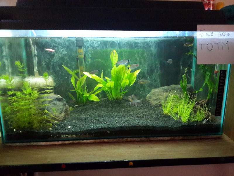 20140127_163553.jpg