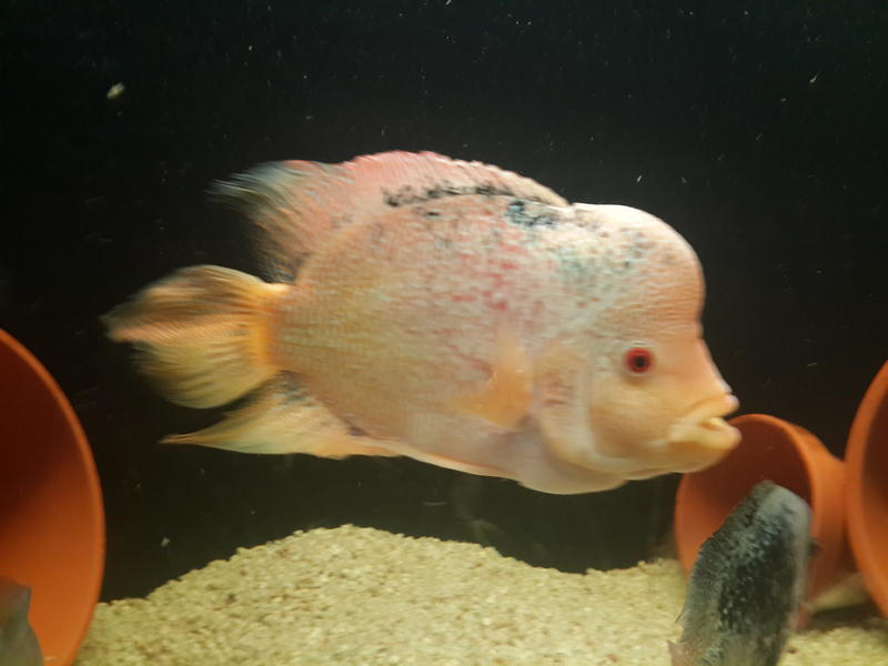 20140128_075644.jpg
