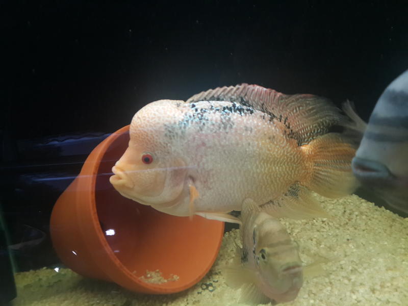 20140130_180834.jpg