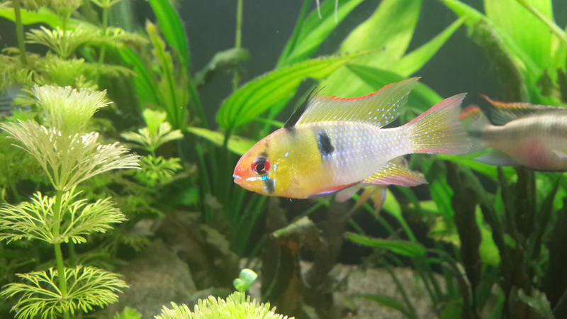 20140207_224413.jpg