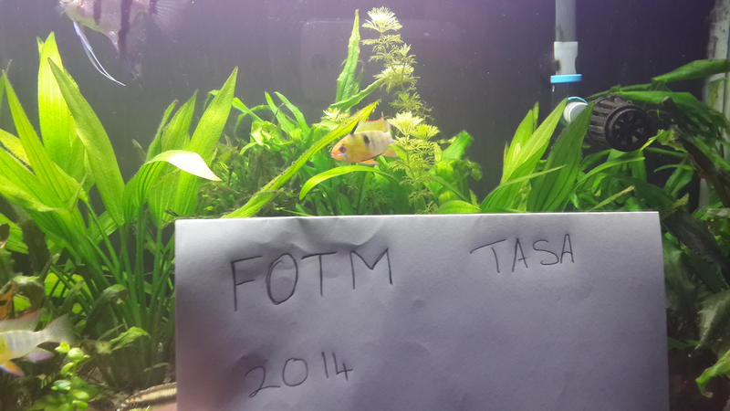 20140207_224701.jpg