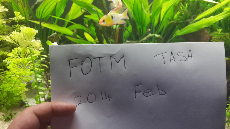 20140207_225449.jpg